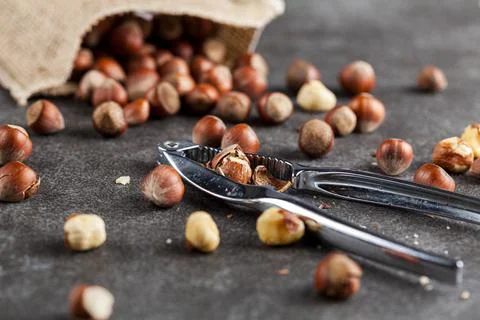 Closeup selective focus image of hazelnuts in shells scattered from a vintage Stock Photos