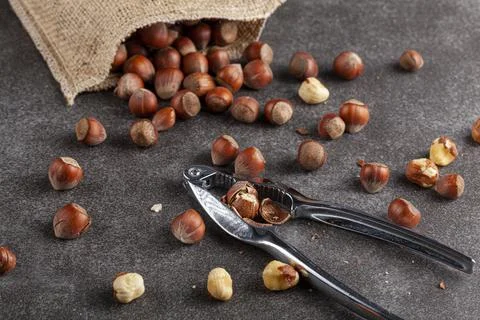 Closeup selective focus image of hazelnuts in shells scattered from a vintage Stock Photos