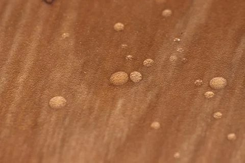 Closeup selective focus view of water drops on wooden floor. Stock Photos
