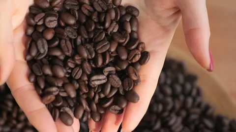 A closeup sequence captures hands delicately handling and releasing aromatic Stock Footage 276547402