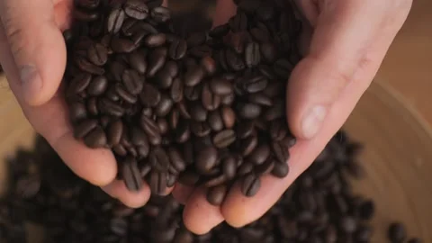 A closeup sequence captures hands delicately handling and releasing aromatic Stock Footage 277562979