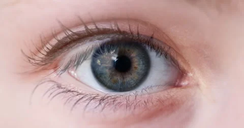 Closeup sequence of different human eyes - Infinite Loop Видео 251040206