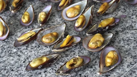 Closeup of several black sea shells with the pulp to cook mussels a la chalaca, Видео 189143086
