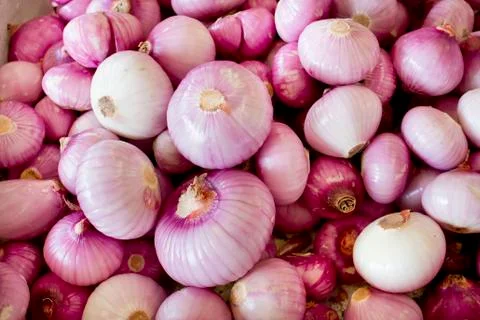 Closeup Shallot background texture Stock Photos