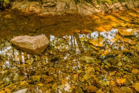Closeup of shallow stream Stock Photos