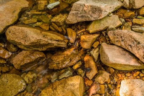 Closeup of shallow stream Stock Photos