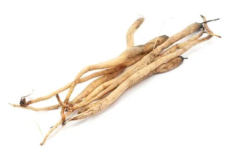 Closeup of Shatavari roots, isolated on white background. Stock Photos