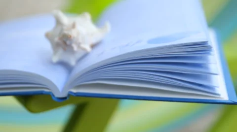 Closeup of shell on open book Stock Footage 55667331
