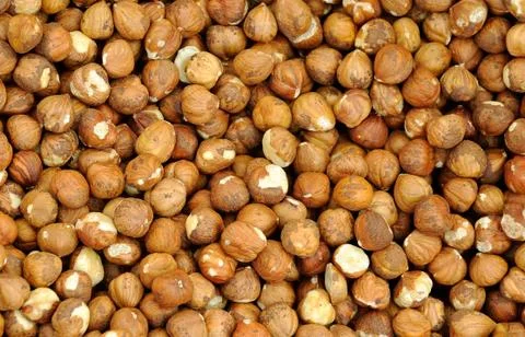 Closeup shelled hazelnuts Stock Photos