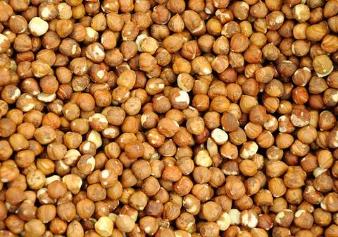 Closeup shelled hazelnuts Stock Photos