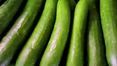 Closeup of shiny green cucumbers stack Stock Footage 338167454