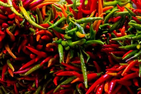 Closeup shoot of the pepperonies Stock Photos