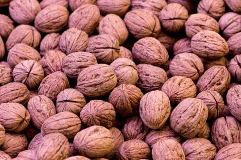 Closeup shoot of the walnuts Stock Photos