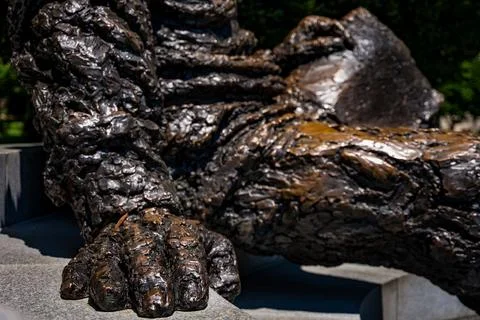 Closeup shot of the Albert Einstein Memorial in Washington DC Stock Photos
