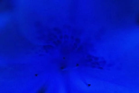 Closeup shot of a blue background with  black dots and patterns 스톡 일러스트