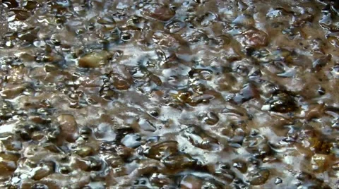 Closeup shot of brown boiling liquid under sun rays, fluid background 스톡 동영상 68419220