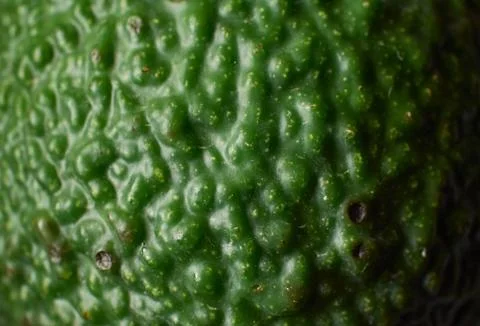 Closeup shot of a bumpy rough green surface Stockfoto's