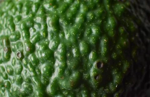Closeup shot of a bumpy rough green surface Stockfoto's