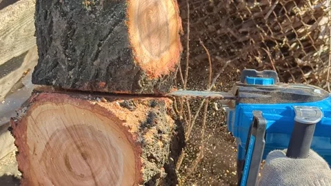 A closeup shot of a chainsaw in the forest Video stock 267690384