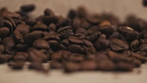 Closeup Shot of Coffee Beans Falling in Slow Motion Stock Footage 139386212