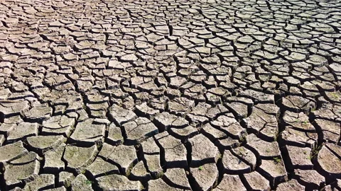 A closeup shot of cracked earth texture Stock Footage 130249936