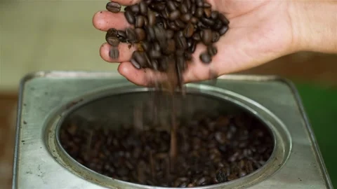 Closeup shot of dark brown roasted coffee beans shown by hand in container. Stock Footage 277532381