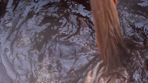Closeup Shot Of Dyeing Process Of Organic Textiles With Red Madder Dye In Stock Footage 156009203