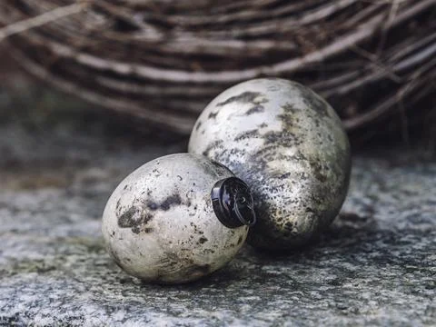 Closeup shot of the Easter eggs in different shapes and patterns on the ground 스톡 사진