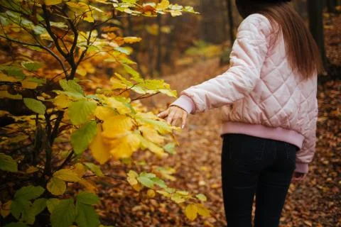 Closeup shot of female hands with autumn leaves Stock Photos