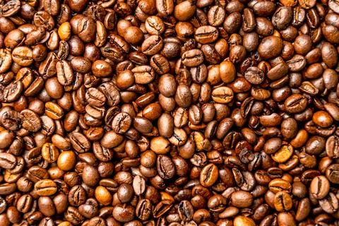 Closeup shot of fresh java coffee beans Stock Photos