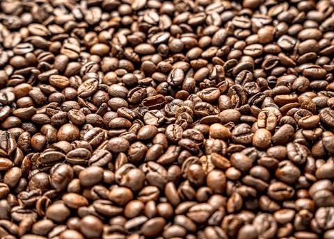 Closeup shot of fresh java coffee beans Stock Photos