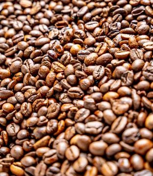 Closeup shot of fresh java coffee beans Stock Photos