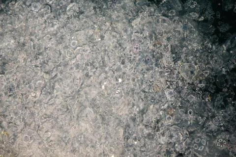 Closeup shot of a frost pattern texture Stock Photos