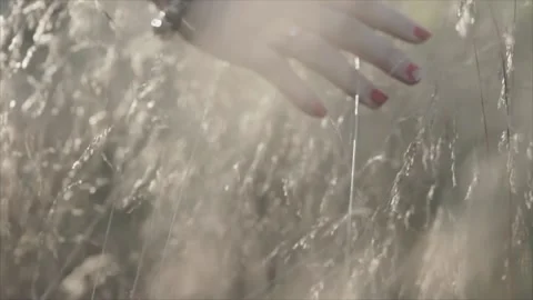 Closeup - Shot Of Hand Stock Footage 139444690