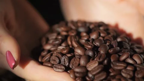 Closeup Shot of Hands Holding Roasted Coffee Beans with a Selective Focus on Stock-Footage 276600019