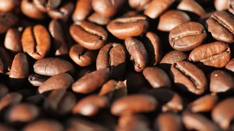 Closeup Shot of Hands Holding Roasted Coffee Beans with a Selective Focus on Stock Footage 277968301