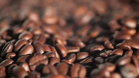 Closeup Shot of Hands Holding Roasted Coffee Beans with a Selective Focus on Stock Footage 295109799