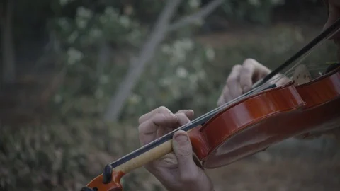 Closeup shot of hands playing the violin in a forest Stock Footage 127094185