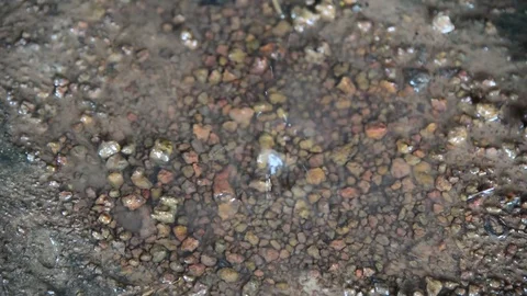 Closeup shot of heavy rain Stock Footage 76602111