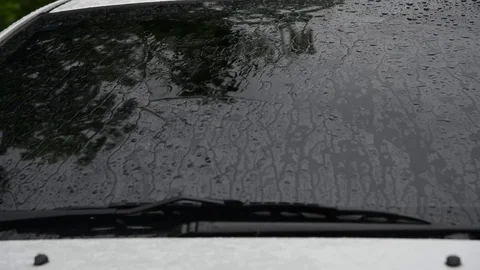 Closeup shot of heavy rain Stock Footage 76602196