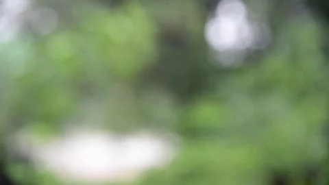 Closeup shot of heavy rain Stock Footage 76602784