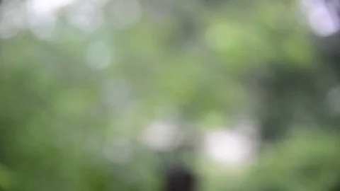 Closeup shot of heavy rain Stock Footage 76602804