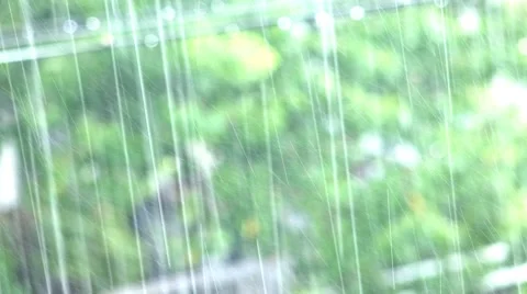 A closeup shot of heavy rain with forest trees background LOOP. UHD 4K stock Video stock 52027252