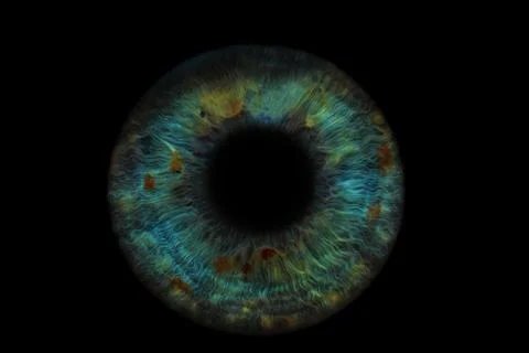 Closeup shot of a human iris on a black background 写真素材