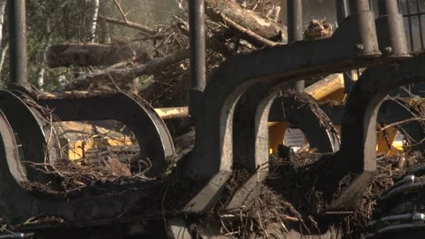 Closeup shot of a logging industrial chipper turning the waste branches into Stock-Footage 138939336