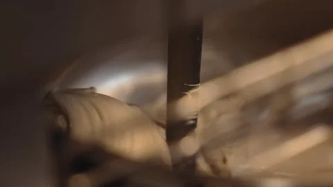 Closeup shot of making process by using flour mixing machine in the factory Video stock 273709245