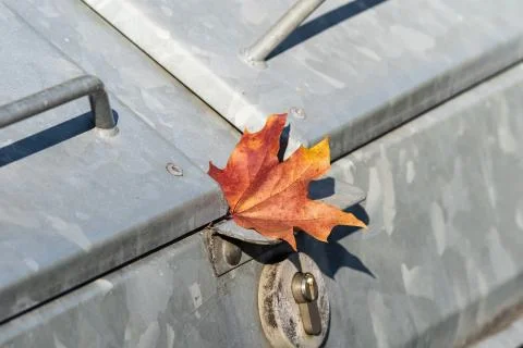 Closeup shot of a maple leaf above a padlock Stock Photos