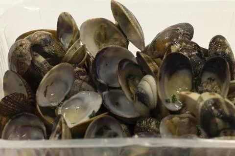 Closeup shot of an open clams shellfish seafood isolated on a white backgroun Stock Photos