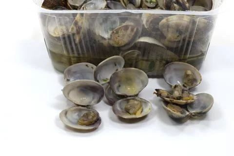 A closeup shot of an open clams shellfish seafood on a plastic container isol Stock Photos