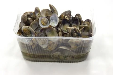 A closeup shot of an open clams shellfish seafood on a plastic container isol Stock Photos